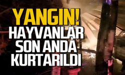 Karabük'te yangın... Hayvanlar son anda kurtarıldı