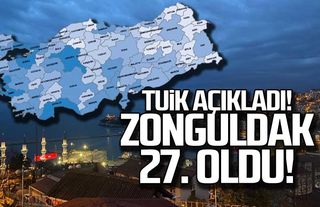 TÜİK verileri açıkladı! Zonguldak o listede 27. oldu!