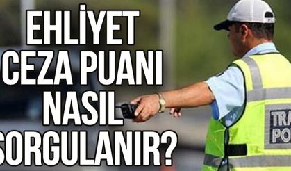 Ehliyet Ceza Puanı Nasıl Sorgulanır?