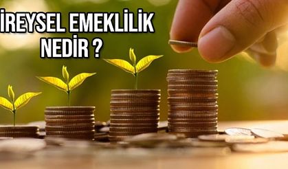 Bireysel Emeklilik Nedir ?