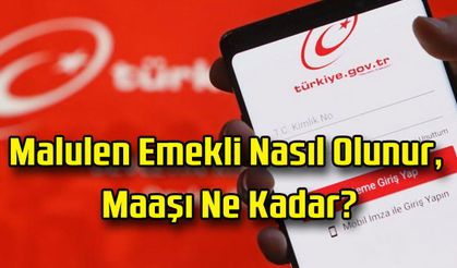 Malulen Emekli Nasıl Olunur, Maaşı Ne Kadar?