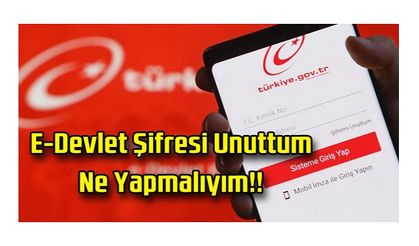 E-Devlet Şifremi Unuttum Yenisini Nasıl Alırım?