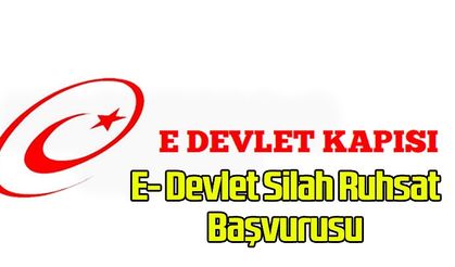 E- Devlet Silah Ruhsat Başvurusu