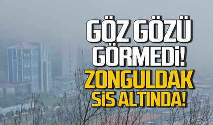 Zonguldak'ta göz gözü görmedi! Sis çöktü
