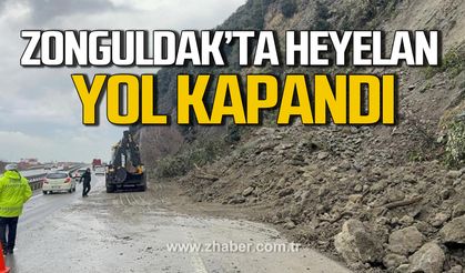Zonguldak Kdz. Ereğli'de heyelan. Yol kapandı.