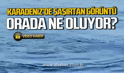 Karadeniz'de şaşırtan görüntü. Orada ne oluyor?
