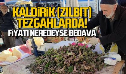 Kaldirik (Zılbıt) tezgahlarda, fiyatı neredeyse bedava