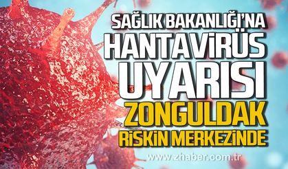 Deniz Yavuzyılmaz'dan Sağlık Bakanlığı'na Hantavirüs uyarısı. "Zonguldak riskin merkezinde"