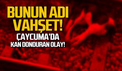 Bunun adı vahşet! Çaycuma'da kan donduran olay!