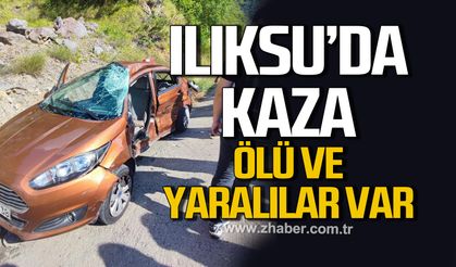 Kozlu Ilıksu’da kaza: Sürücü öldü, eşi ağır yaralı