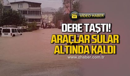 Kdz. Ereğli'de Dombay deresi taştı! Araçlar sular altında kaldı
