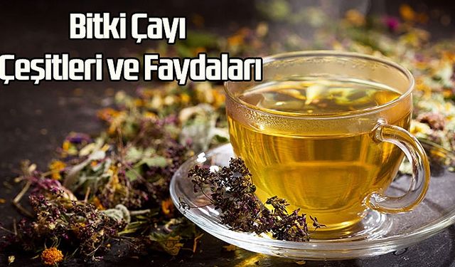 Bitki Çayı Çeşitleri ve Faydaları