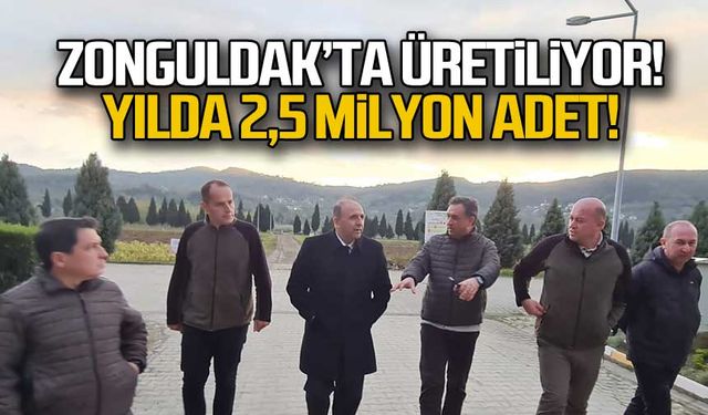 Zonguldak'ta üretiliyor... Yılda 2,5 milyon adet