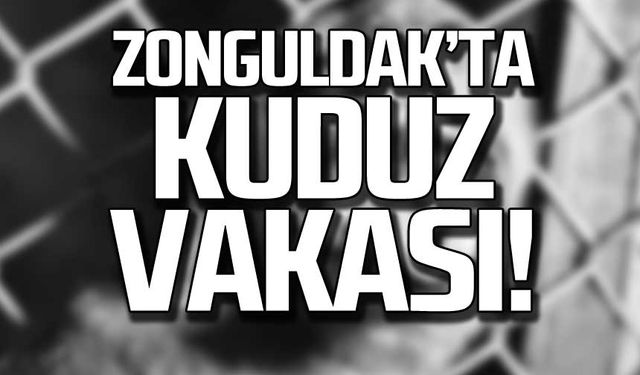 Zonguldak'ta bir kuduz vakası!