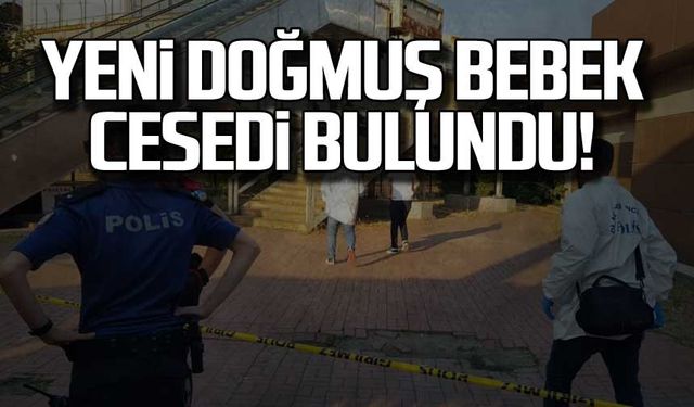 Yeni doğmuş bebek cesedi bulundu!