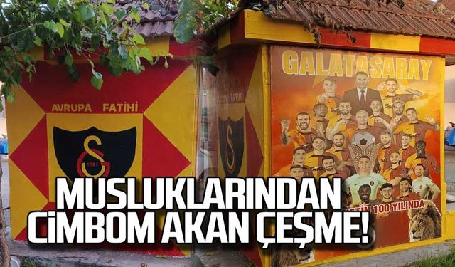 Musluklarından cimbom akan çeşme!