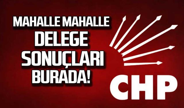 CHP Zonguldak Merkez İlçe delege sonuçları!