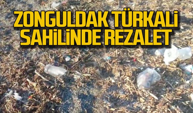 Zonguldak Türkali sahilinde rezalet!