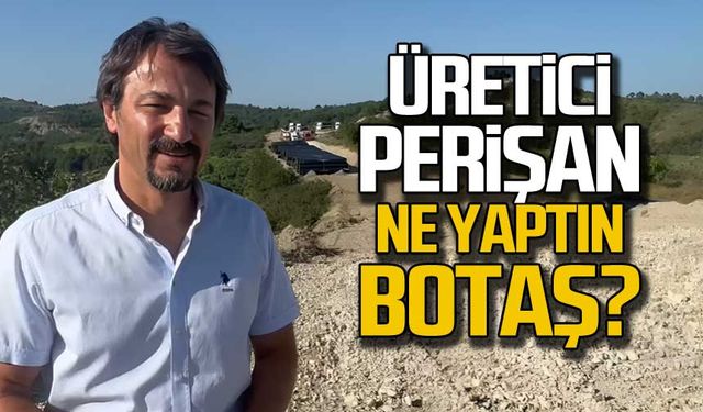 Üretici perişan! Ne yaptın Botaş?