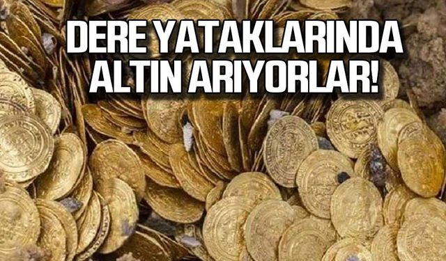 Dere yataklarında altın arıyorlar!