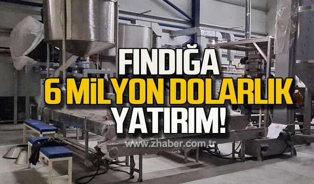 Fındığa 6 milyon dolarlık yatırım!