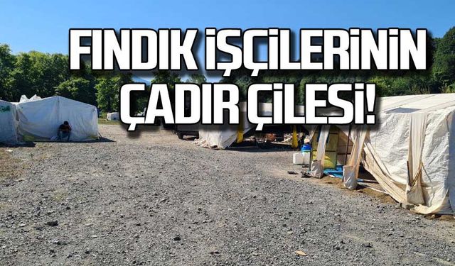 Fındık İşçilerinin çadır çilesi!