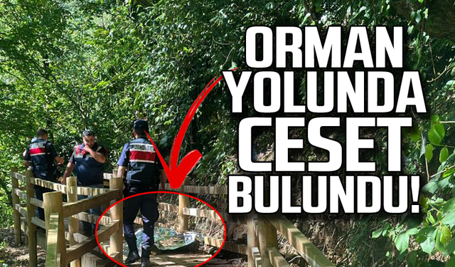 Orman yolunda ceset bulundu!