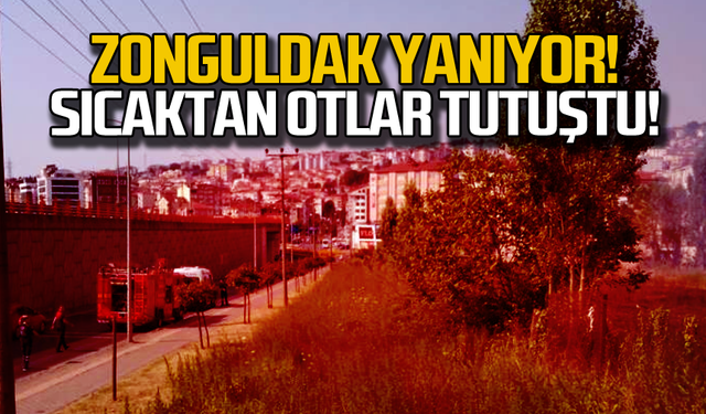 Zonguldak yanıyor! Sıcaktan otlar tutuştu!