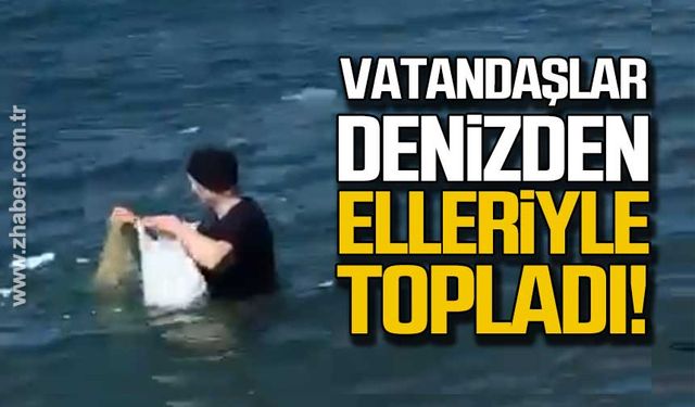 Vatandaşlar denizden elleriyle topladı!