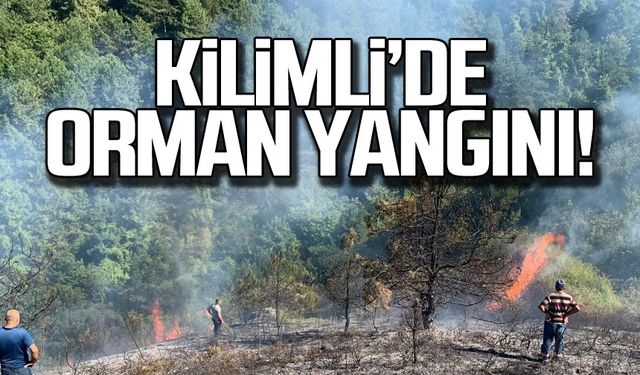 Kilimli'de orman yangını!