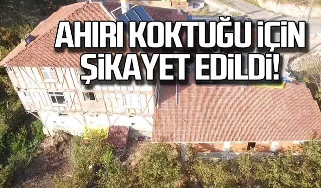 Ahırı koktuğu için şikayet edildi!