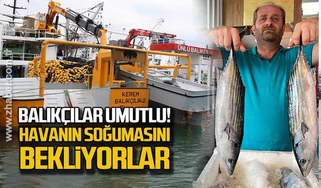 Balıkçılar umutlu! Havanın soğumasını bekliyorlar