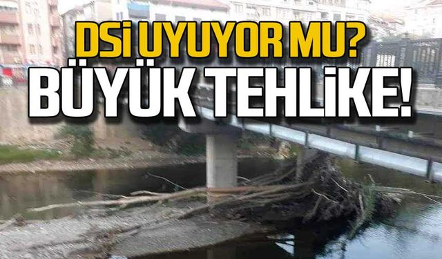 DSİ uyuyor mu? Devrek'te büyük tehlike!