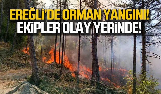 Ereğli'de orman yangını! Ekipler olay yerinde!