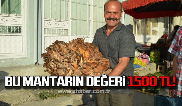 Bu mantarın değeri 1500 TL!