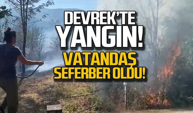 Devrek'te yangın! Köylüler seferber oldu!