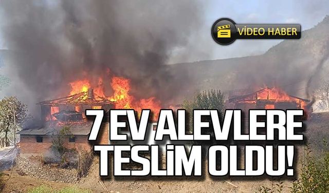 7 ev alevlere teslim oldu!