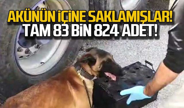 Akünün içine saklamışlar! Tam 83 bin 824 adet!