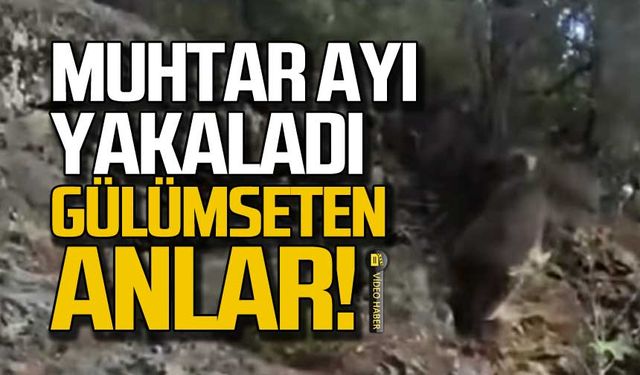 Muhtar ayı yakaladı! Gülümseten anlar!