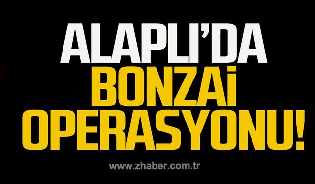 Alaplı'da bonzai operasyonu!