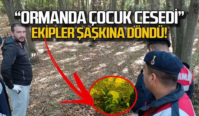 "Ormanda çocuk cesedi" ihbarı... Ekipler şaşkına döndü!