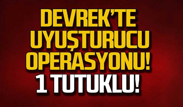 Devrek'te uyuşturucu operasyonu! 1 tutuklu!