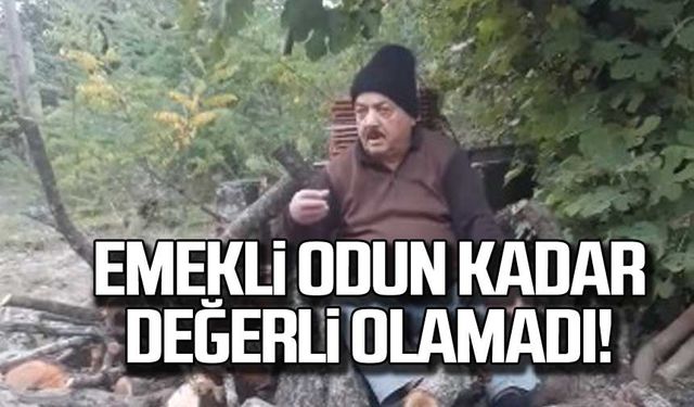 Zonguldak'ta emekli mi değerli odun mu?