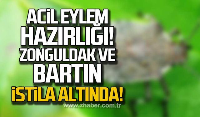 Acil Eylem Hazırlığı! Zonguldak ve Bartın istila altında!