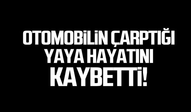 Otomobilin çarptığı yaya hayatını kaybetti!