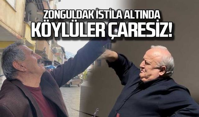 Zonguldak Devrek istila altında! Köylüler çaresiz!