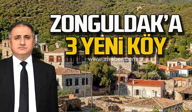 Zonguldak'a 3 yeni köy