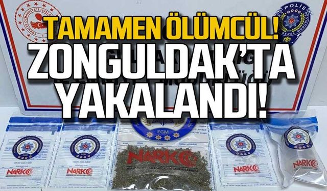 Tamamen ölümcül Zonguldak'ta yakalandı!