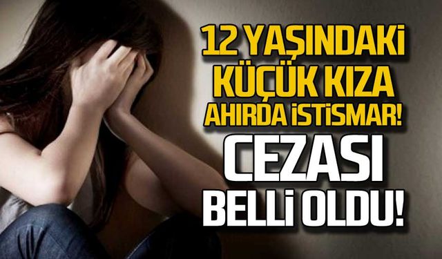 12 yaşındaki küçük kıza ahırda istismar! Cezası belli oldu!