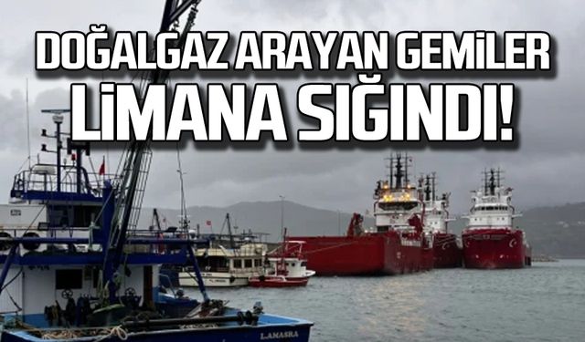 Doğalgaz arayan gemiler Amasra Limanı'nda